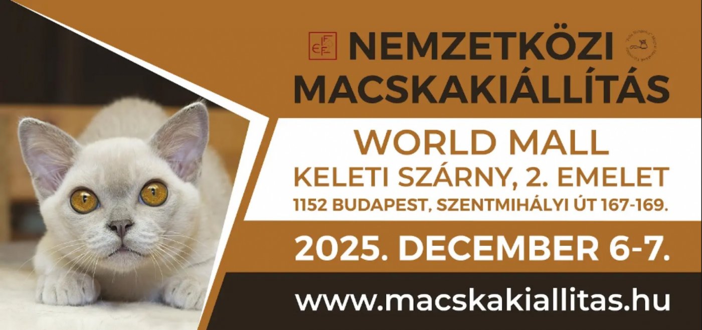 Felis Hungarica – FIFe Nemzetközi Macskakiállítás 2025, 6 December | Event in Budapest | AllEvents