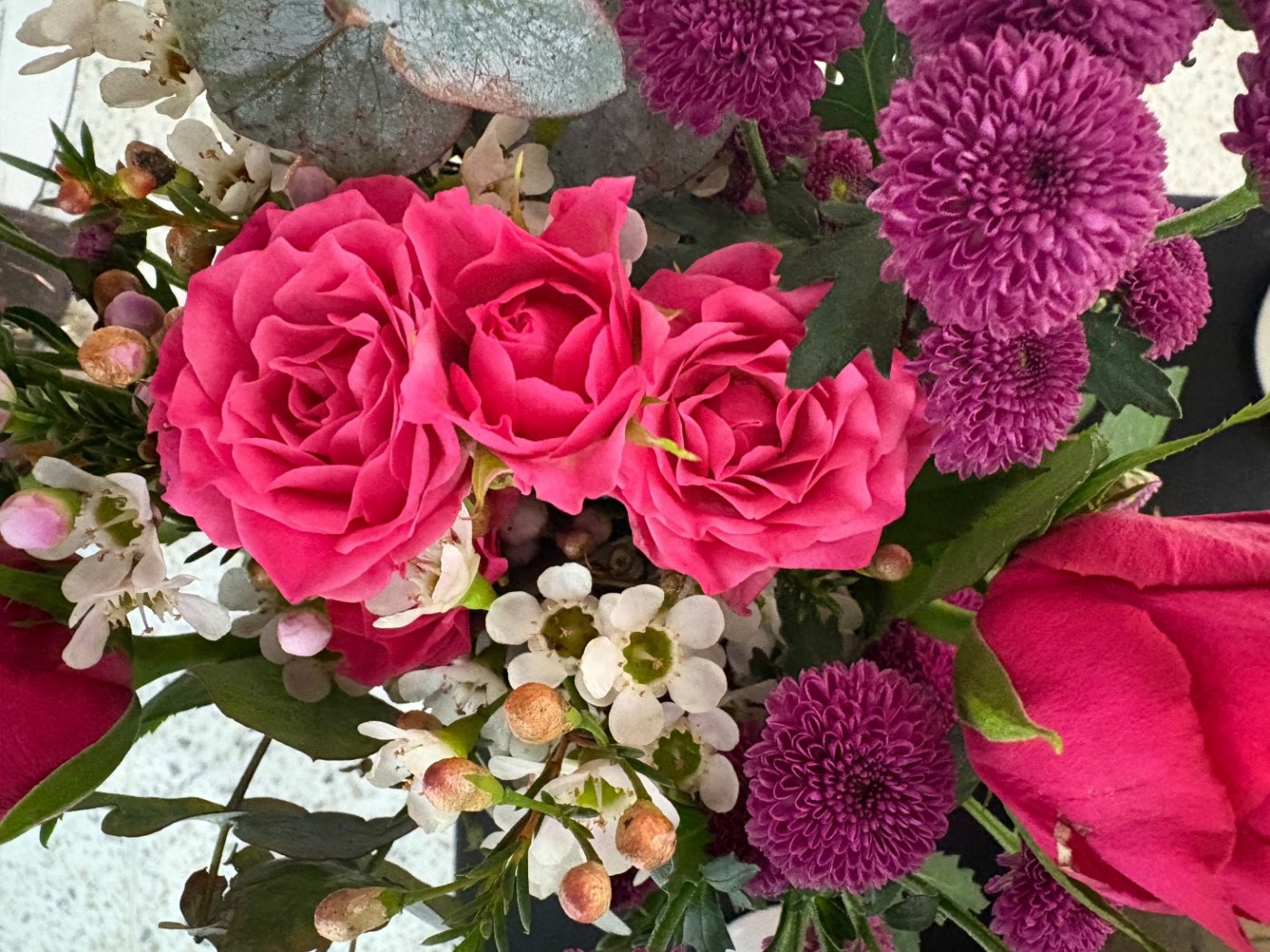 Blush in a rush speed dating, 5 December | Event in Mentone | AllEvents