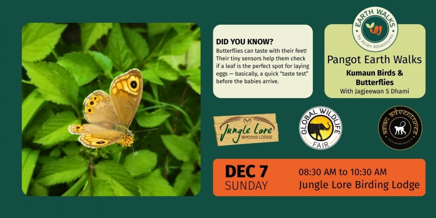 Kumaun Birds and Butterflies walk, Pangot, 7 December | Event in Naini Tal | AllEvents