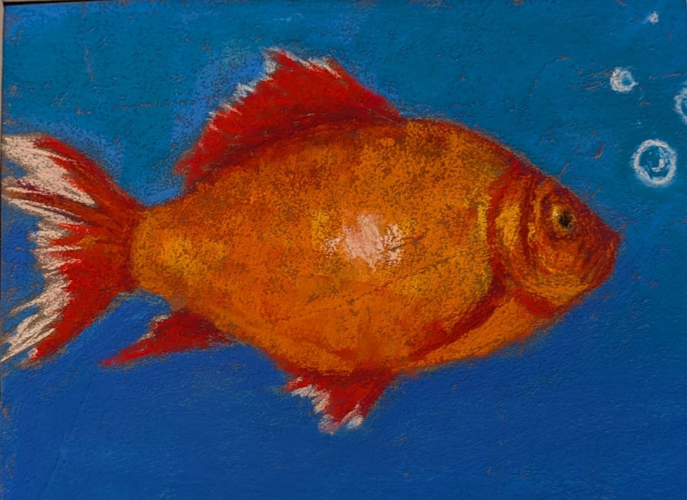 Underwater Goldfish Art Class, 3 January | Event in Palm Coast | AllEvents