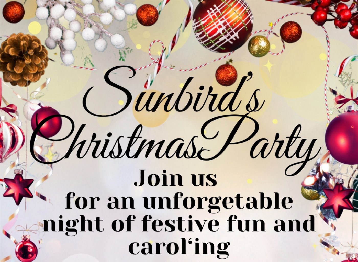 Sunbird Christmas Party, 15 December | Event in Cape Town | AllEvents