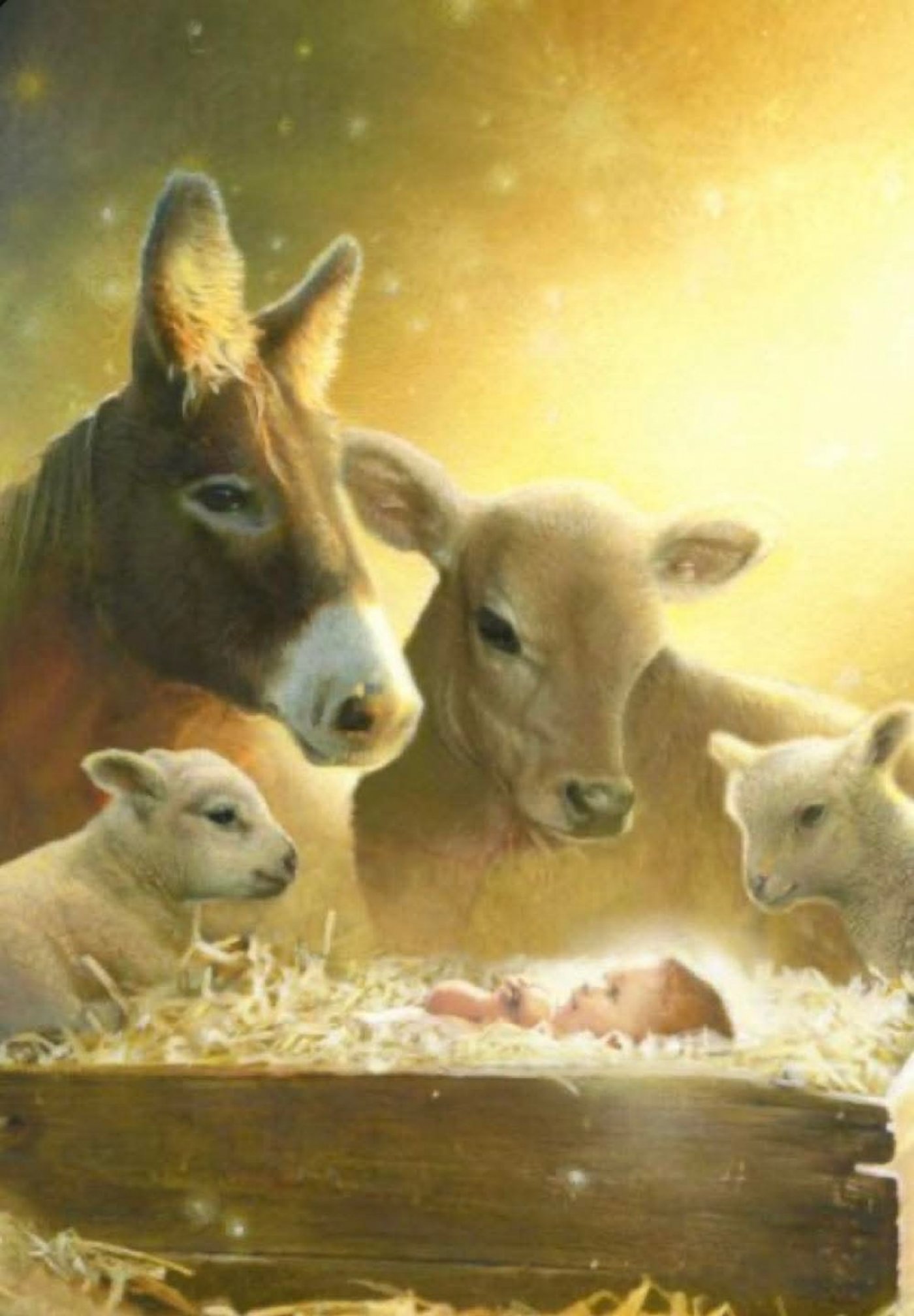 Cookies and Carols!, 14 December | Event in Corunna | AllEvents