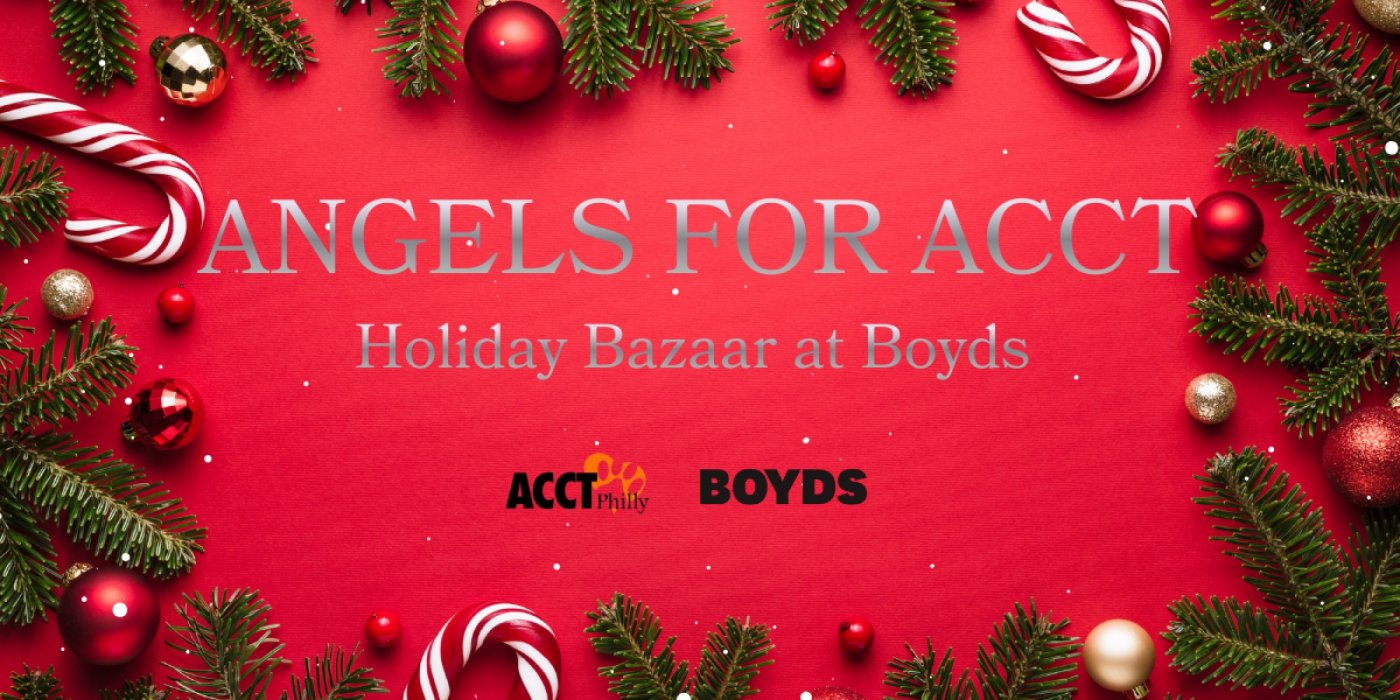 Angels For ACCT: Holiday Bazaar , 13 December | Event in Wayne | AllEvents