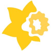 Cancer Society Southern logo