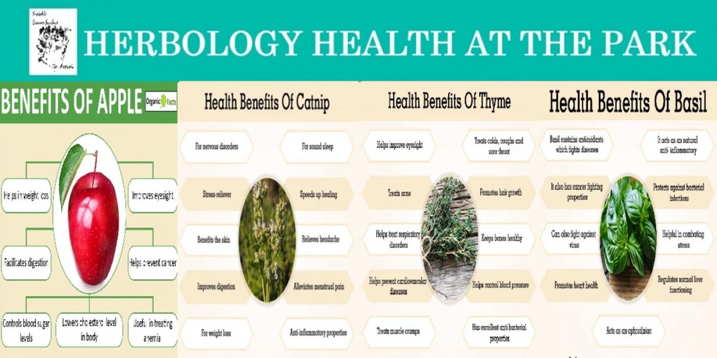 Herbology Health At The Park - 2 Seats Open!, 5 February | Event in San Antonio | AllEvents