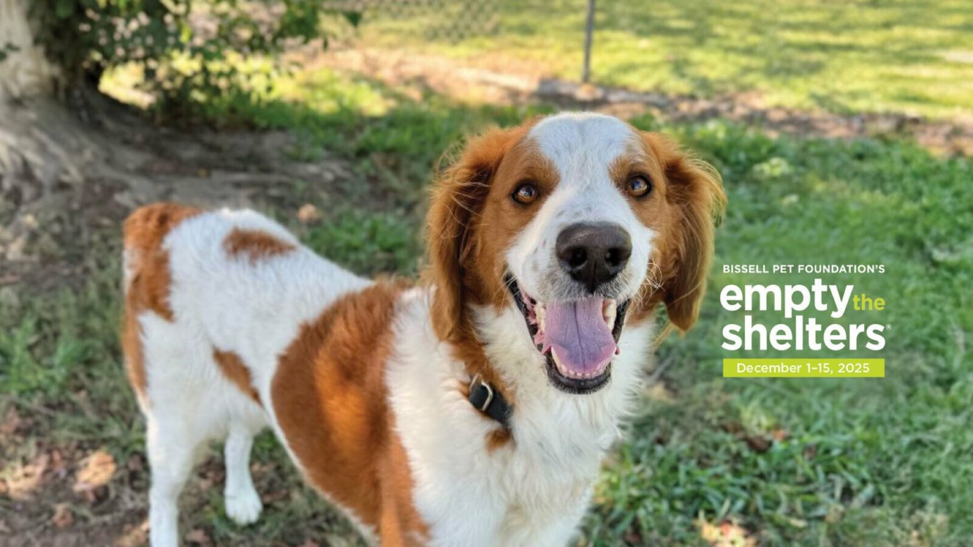 BISSELL Pet Foundation's Holiday Empty the Shelters | Event in Port St. Lucie | AllEvents