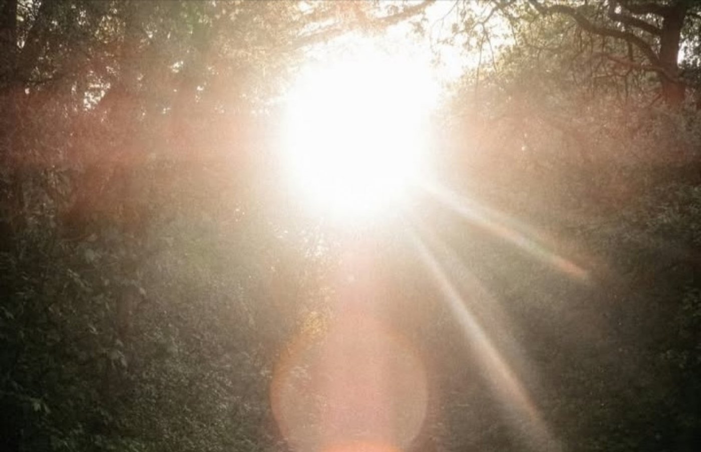 MINDFUL NEW MOON MEDITATION EVENING, 23 January | Event in Hatfield | AllEvents