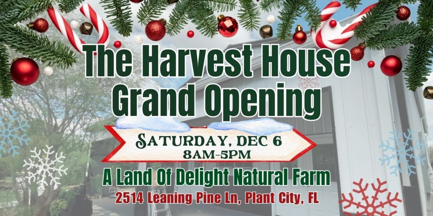 Plant City Winter Wonderland Grand Opening at The Harvest House – Saturday, December 6, 6 December | AllEvents