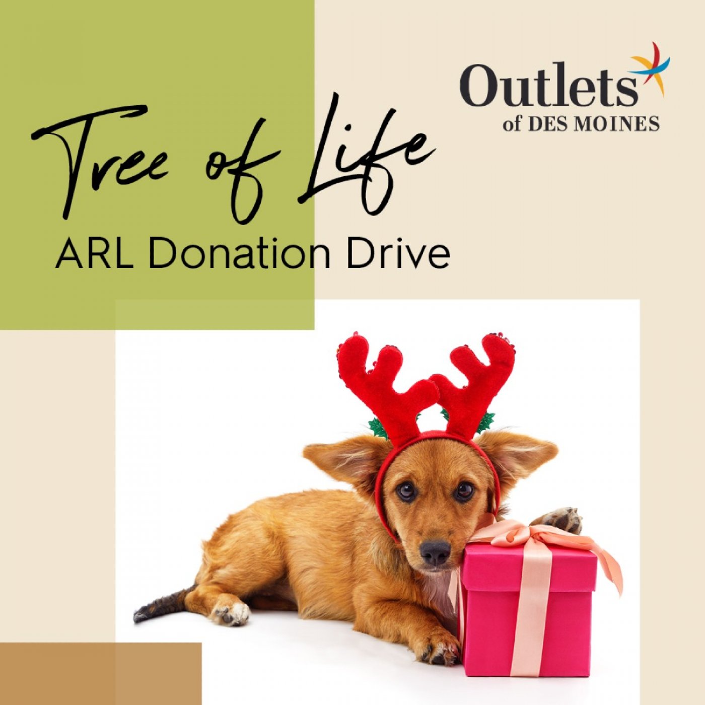 Outlets of Des Moines Hosts Animal Rescue League of Iowa’s Annual Tree of Life Donation Event | AllEvents