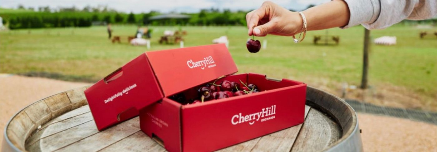 Twilight Cherry Picking, 22 December | Event in Seville | AllEvents