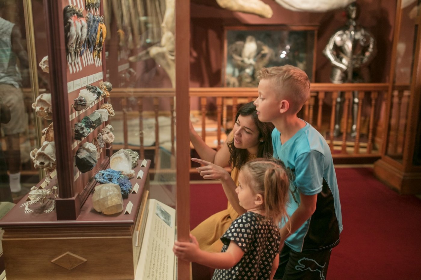 Free Admission to Grand Rapids Cultural Institutions with Museums on Us®, 6 December | Event in Grand Rapids