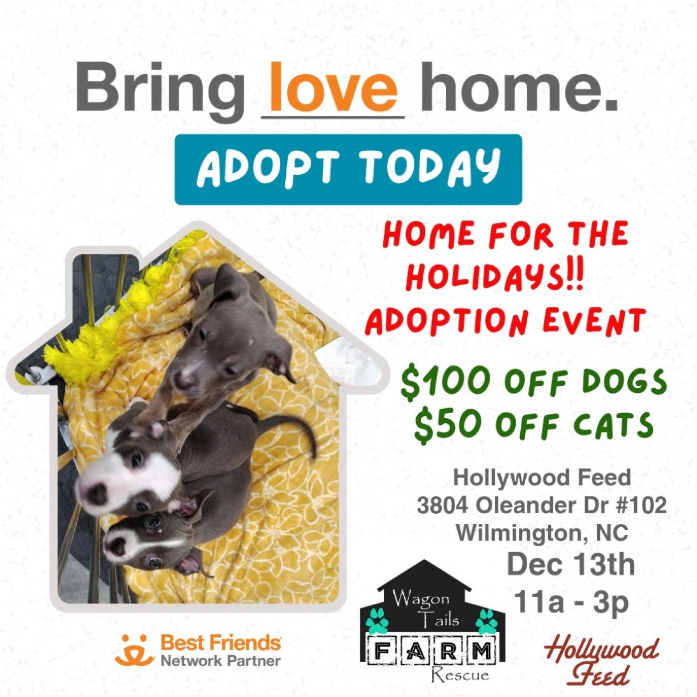Adoption Event at Hollywood Feed, 13 December | Event in Wilmington | AllEvents