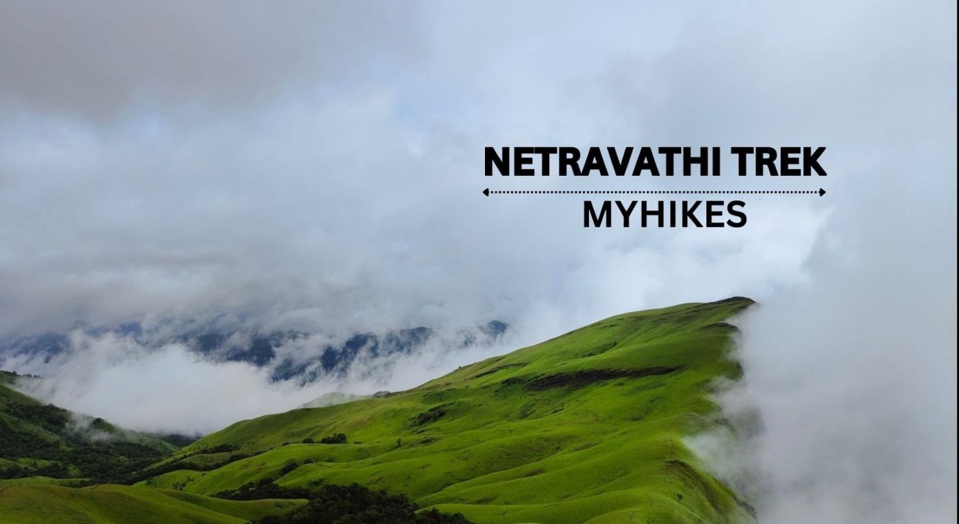 NETRAVATHI TREK  - MY HIKESA, 19 December | Event in Bangalore | AllEvents