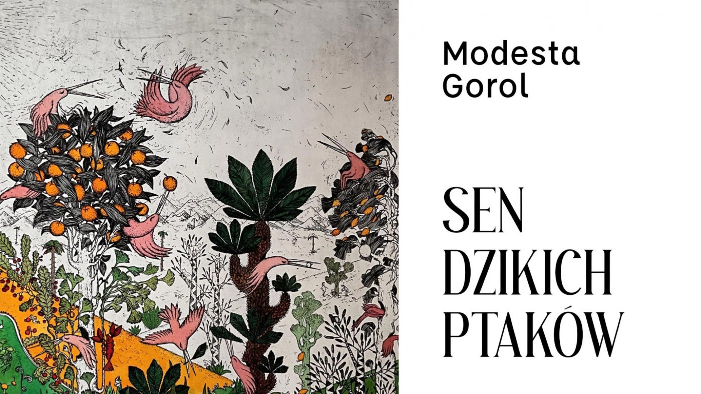 Sen Dzikich Ptaków -  Modesta Gorol, 12 December | Event in Wroclaw | AllEvents