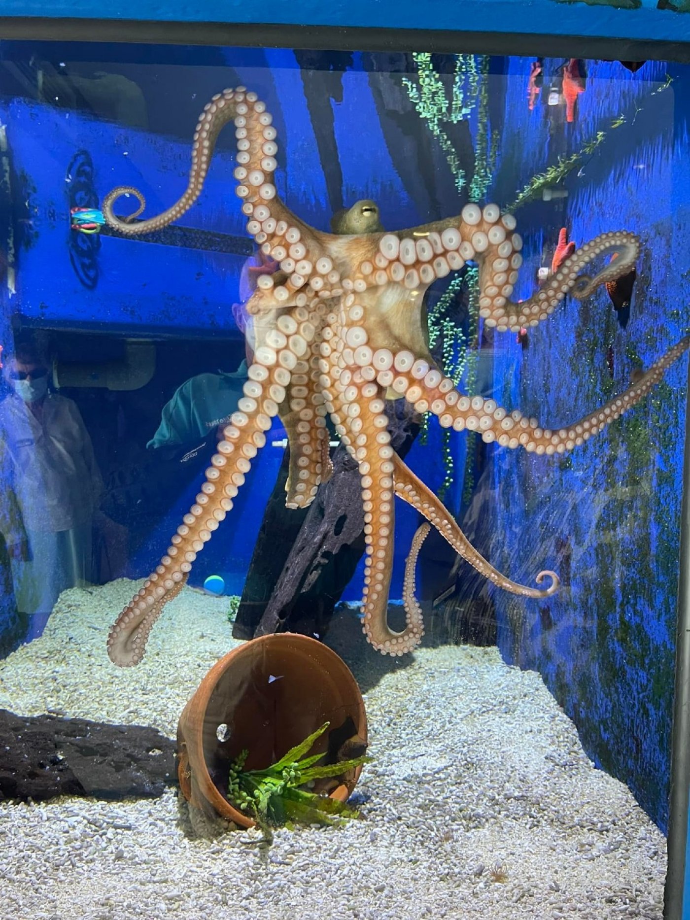 AQWA Travel Club, 25 February | Event in Joondalup | AllEvents