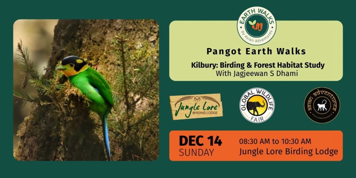 Kilbury: Birding & Forest Habitat Study at Pangot, 14 December | Event in Nainital | AllEvents