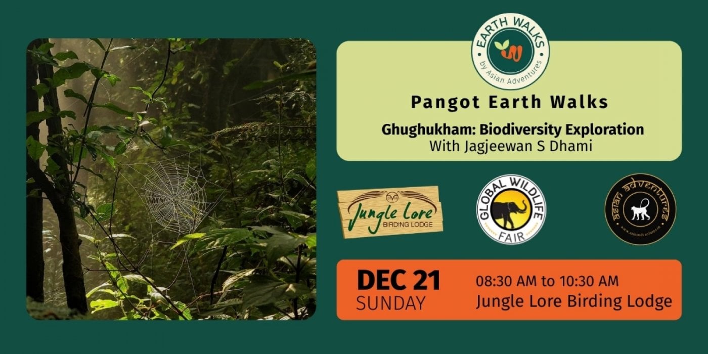 Ghughukham: Biodiversity Exploration at Pangot, 21 December | Event in Nainital | AllEvents