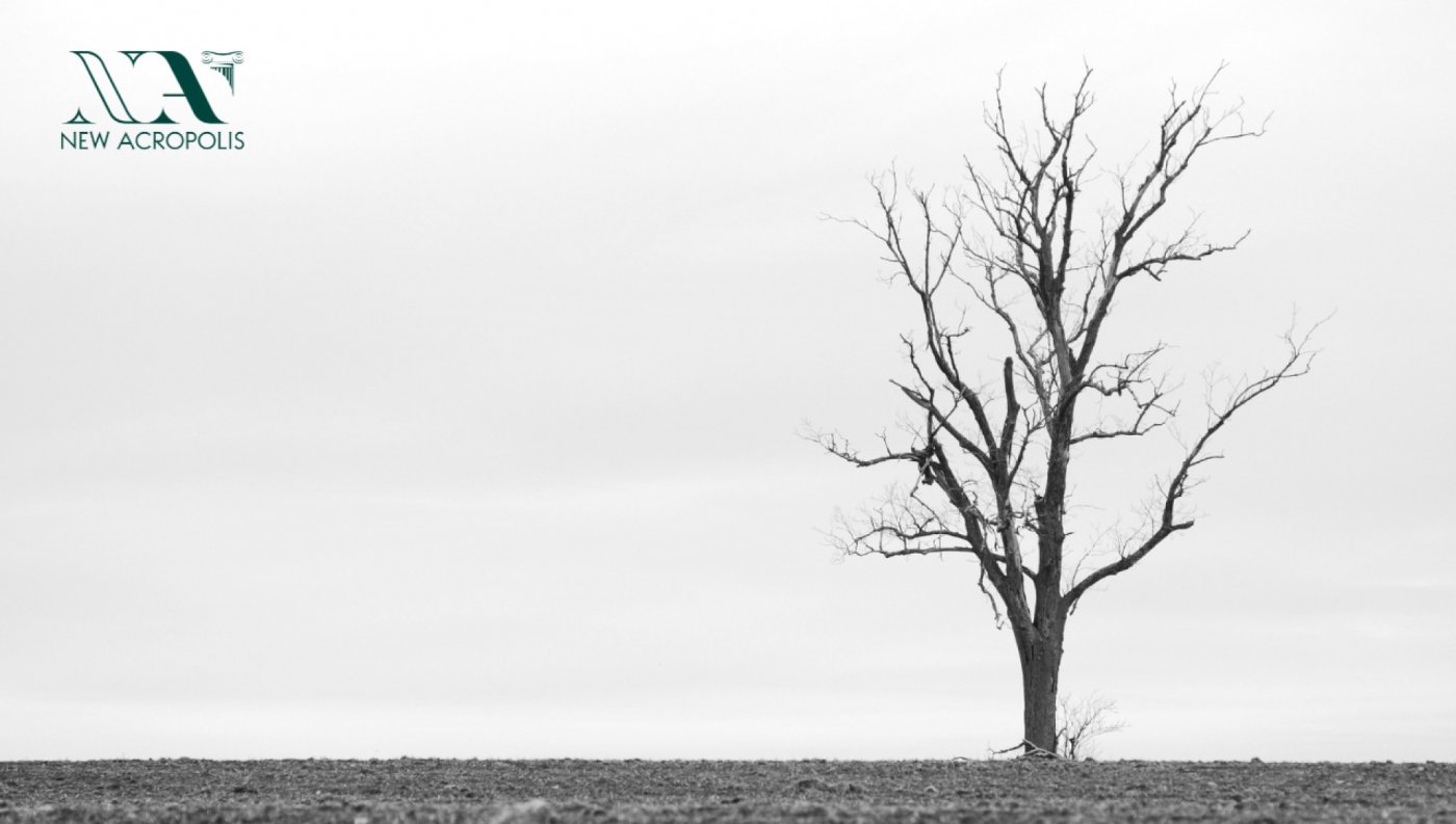 The Philosophy of Death: Learning to Live Fully, 19 December | Event in Bangalore | AllEvents