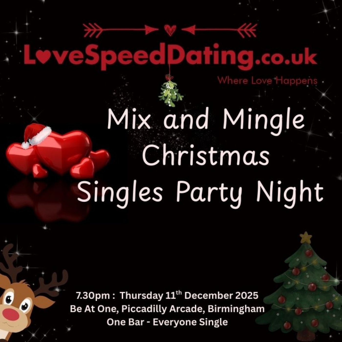 Mix and Mingle Singles Party Birmingham