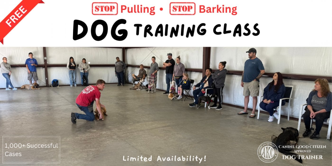 FREE Dog Training Class, 13 December | Event in Plant City | AllEvents