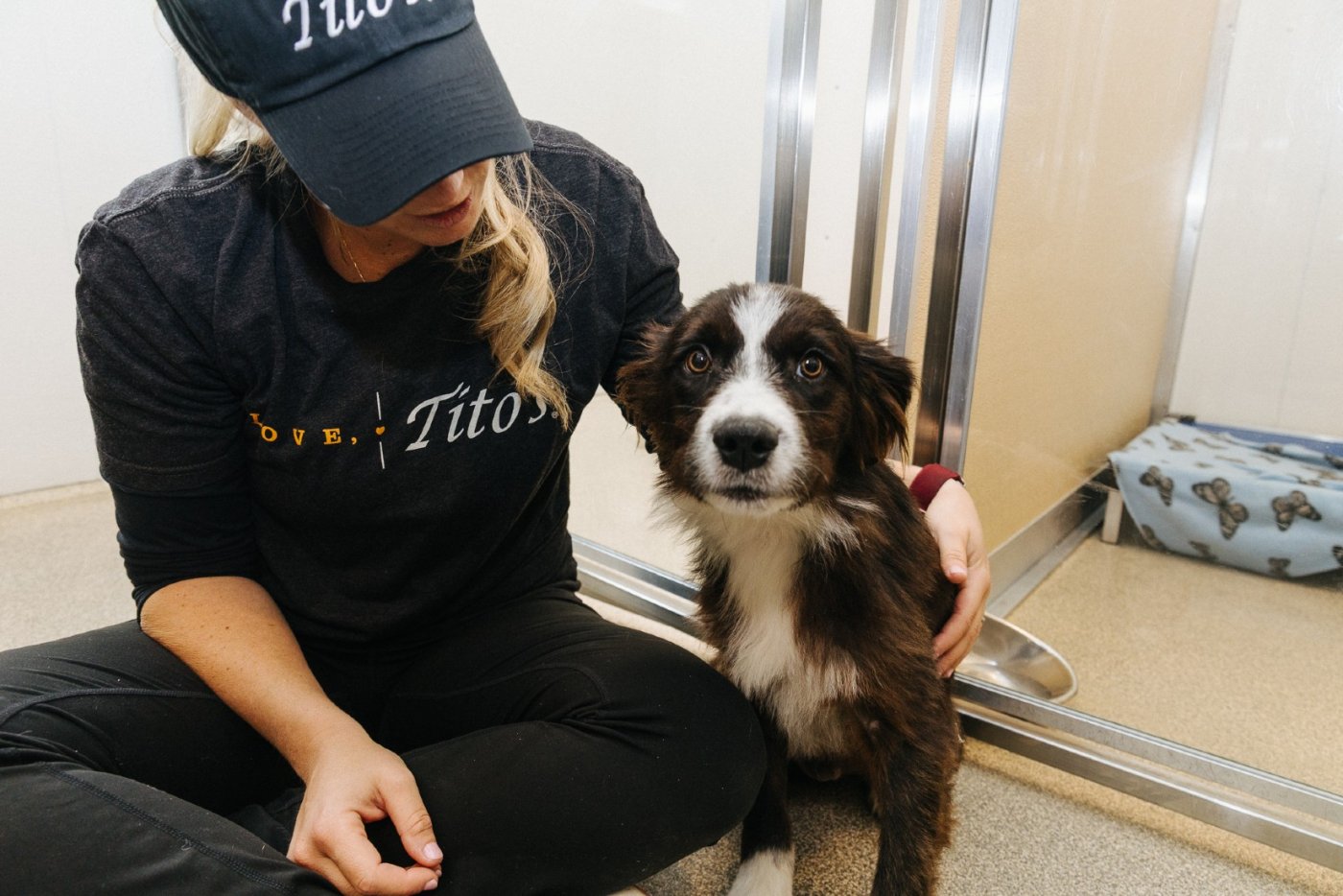 Felines and Canines Shelter Transformation Reveal Event, 14 December | Event in Chicago | AllEvents