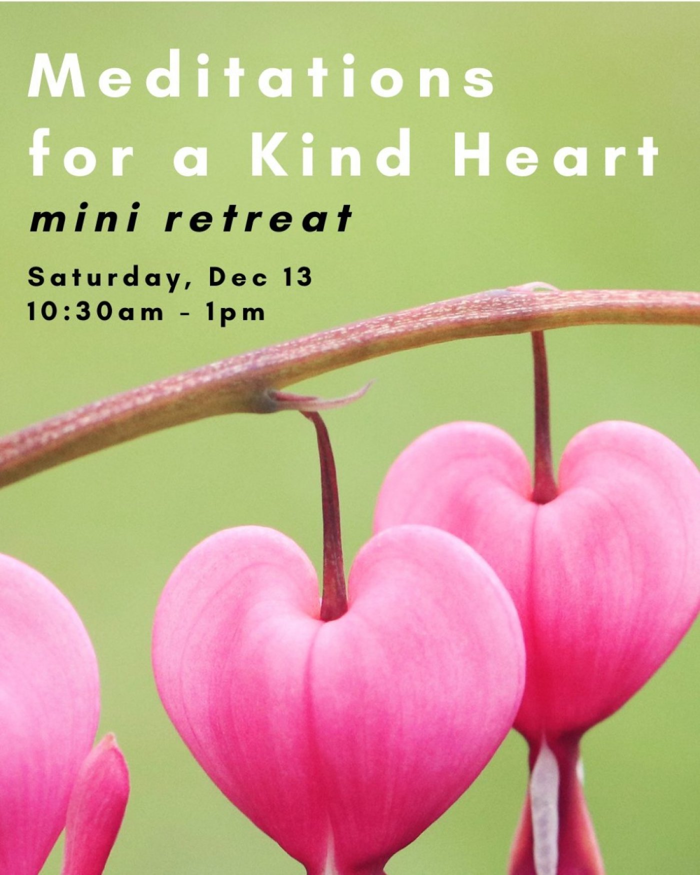 Meditations for a Kind Heart: A Mini Retreat, 13 December | Event in Glastonbury | AllEvents