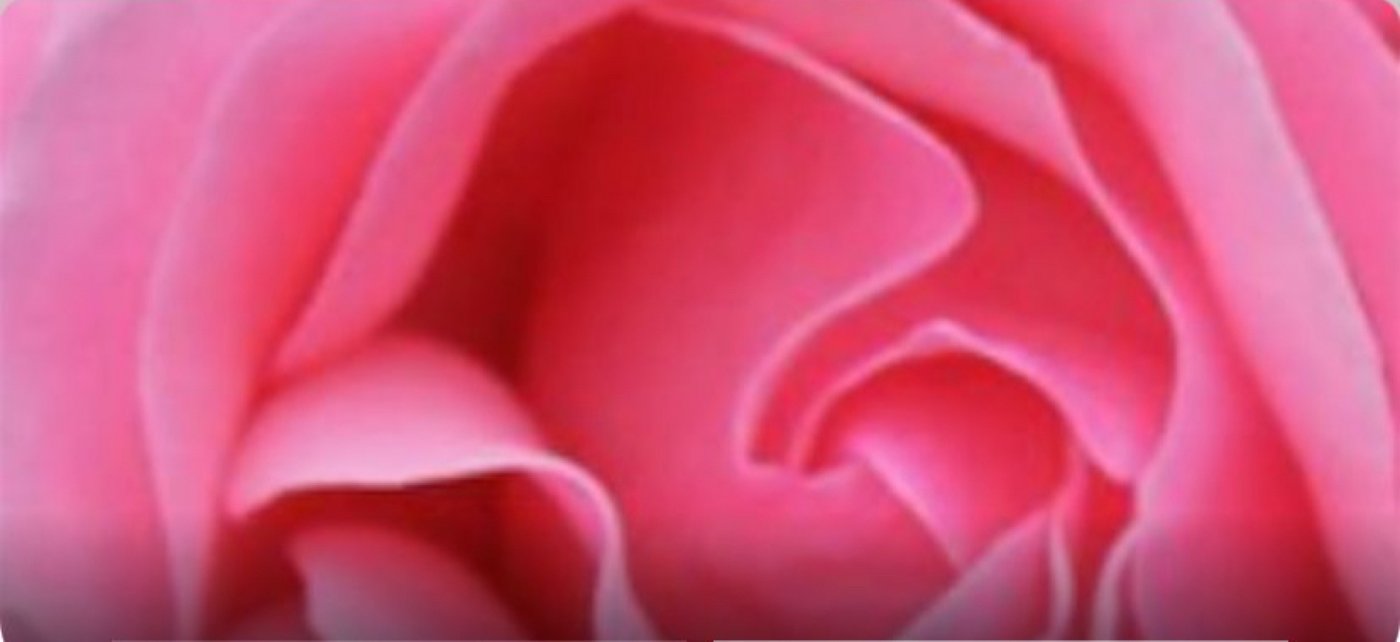 Awaken Pleasure in your Cervix with Hypnosis | AllEvents