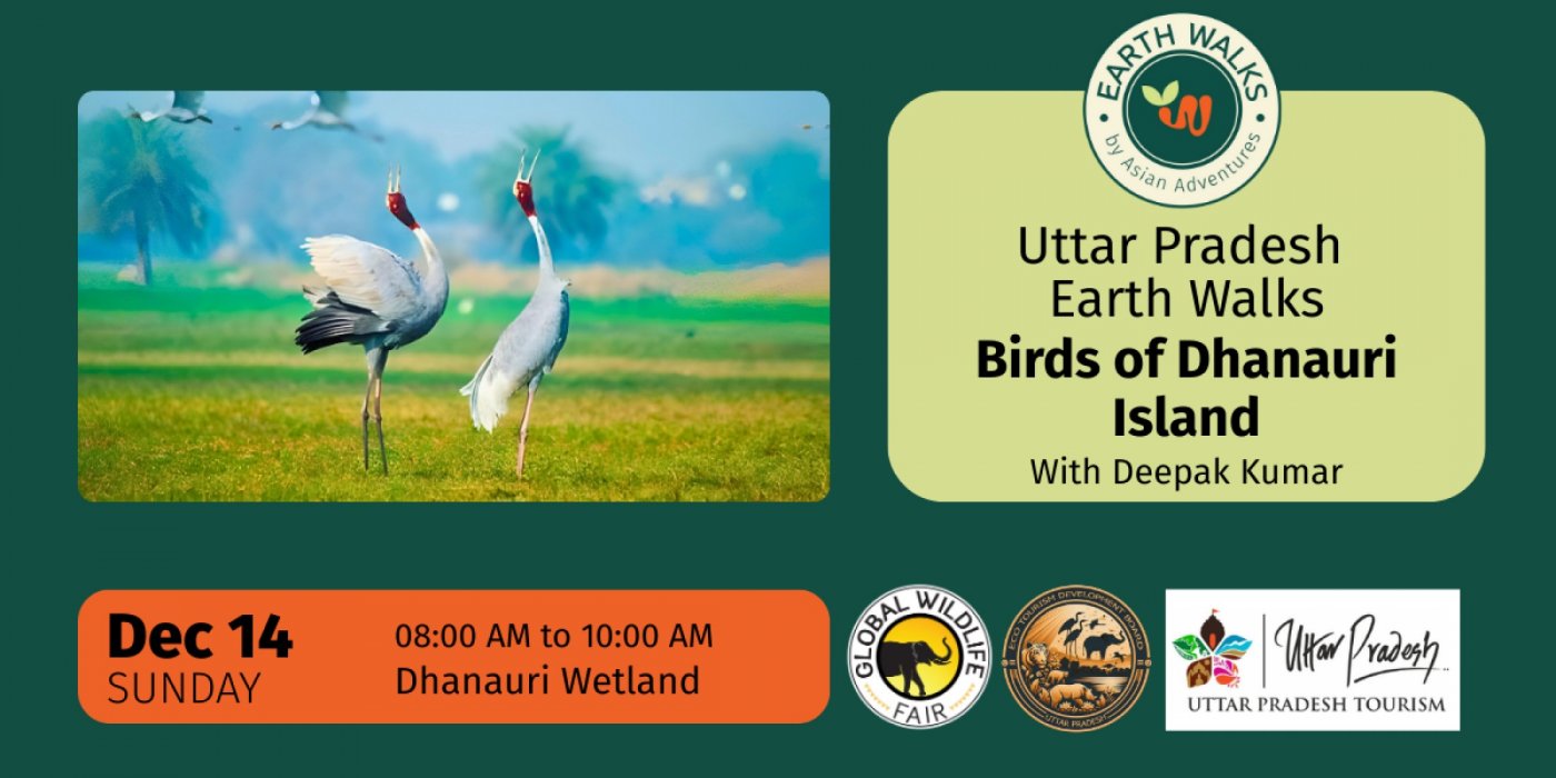 Birds of Dhanauri Island, 14 December | Event in Greater Noida | AllEvents