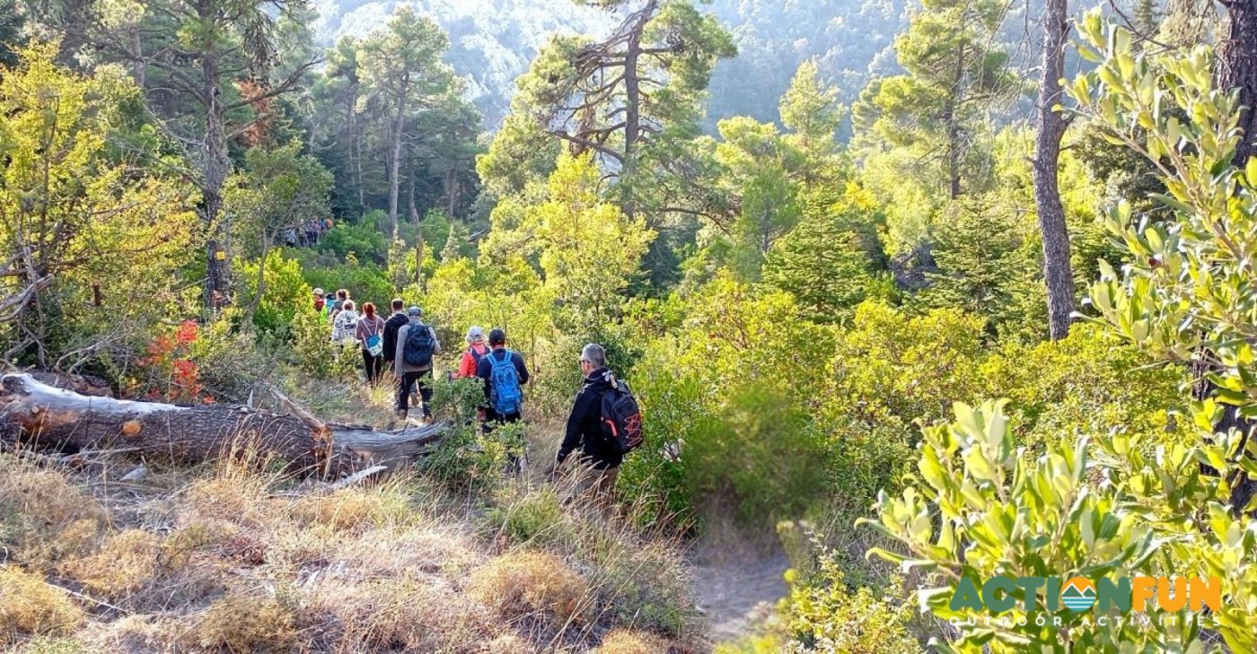 🌲 Πάρνηθα North Face, Αγ. Μερκούριος – Βρόκολι., 20 December | Event in Athens