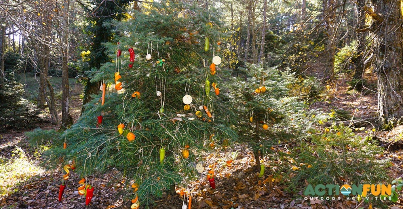 🎄 Χριστουγεννιάτικη πεζοπορία για όλους και στολισμός ελάτου. 🦌, 21 December
