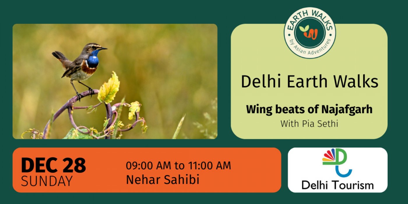 Wing beats of Najafgarh, 28 December | Event in Gurgaon | AllEvents