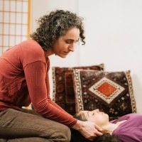 Hummingbird Valley logo