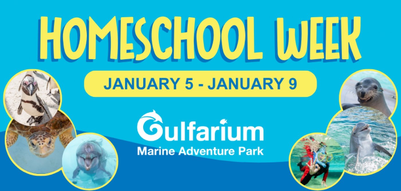 Homeschool Week at the Gulfarium
