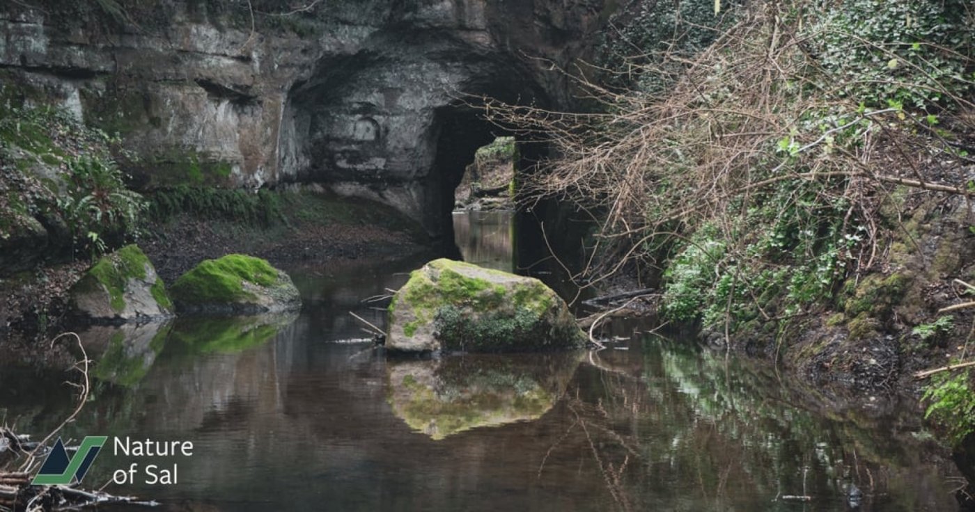 Etruscan Hike: The Grand Veio Loop