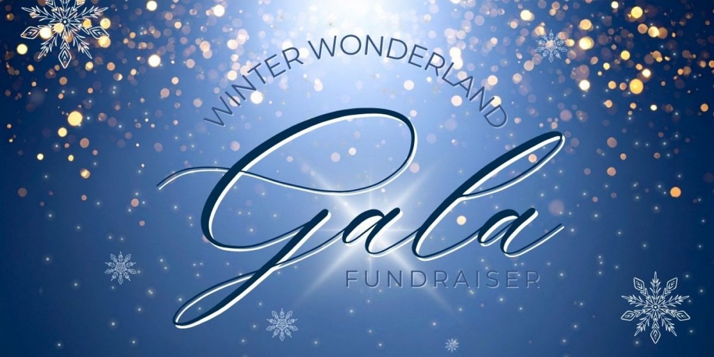 Winter Wonderland-Fundraising Gala