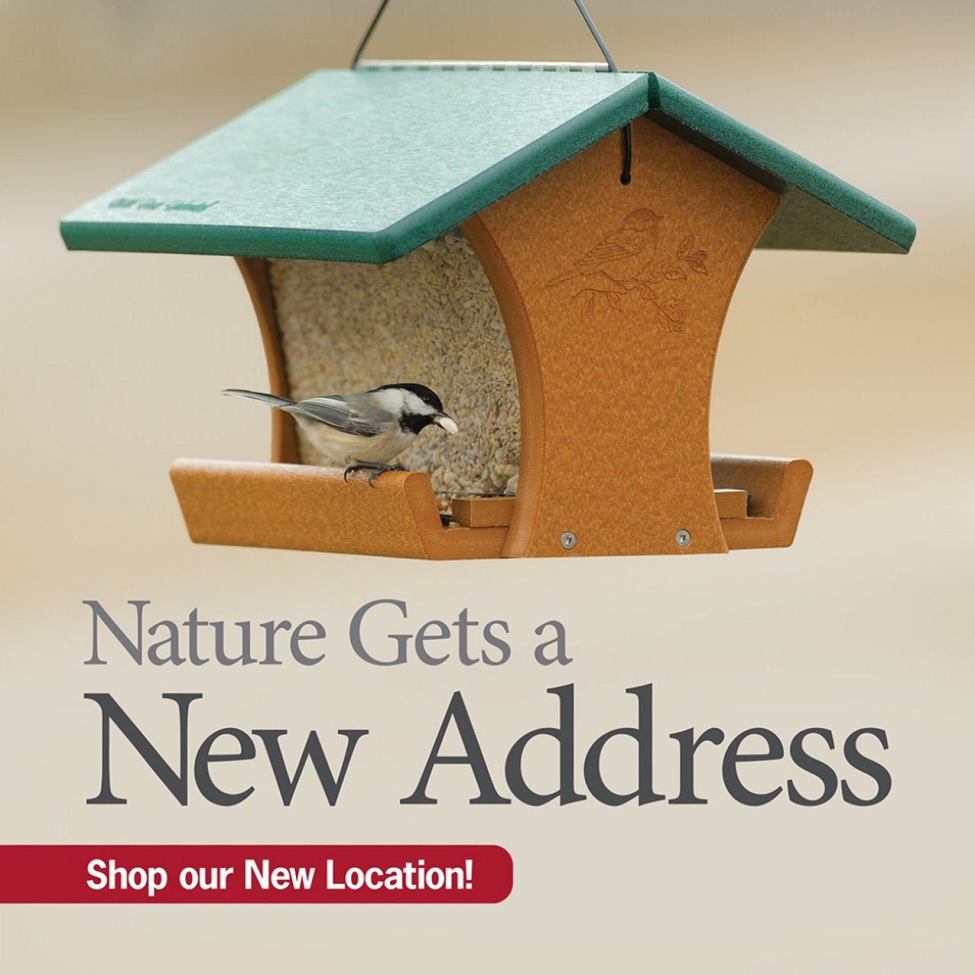 New Nest Celebration @ Wild Birds Unlimited Suffolk