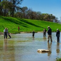 Trinity Flyfest  logo
