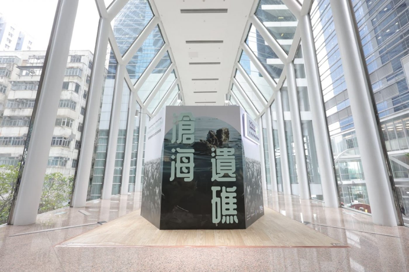 Reviving Hong Kong's Ocean Heritage – Our Forgotten Oyster Reefs (Taikoo Place)