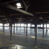 Parallel Society logo