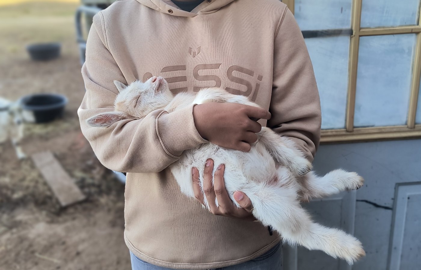 Cuddle with Goats and Puppies and Ducks on the Farm in Rockwall
