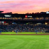 Rocket City Trash Pandas logo