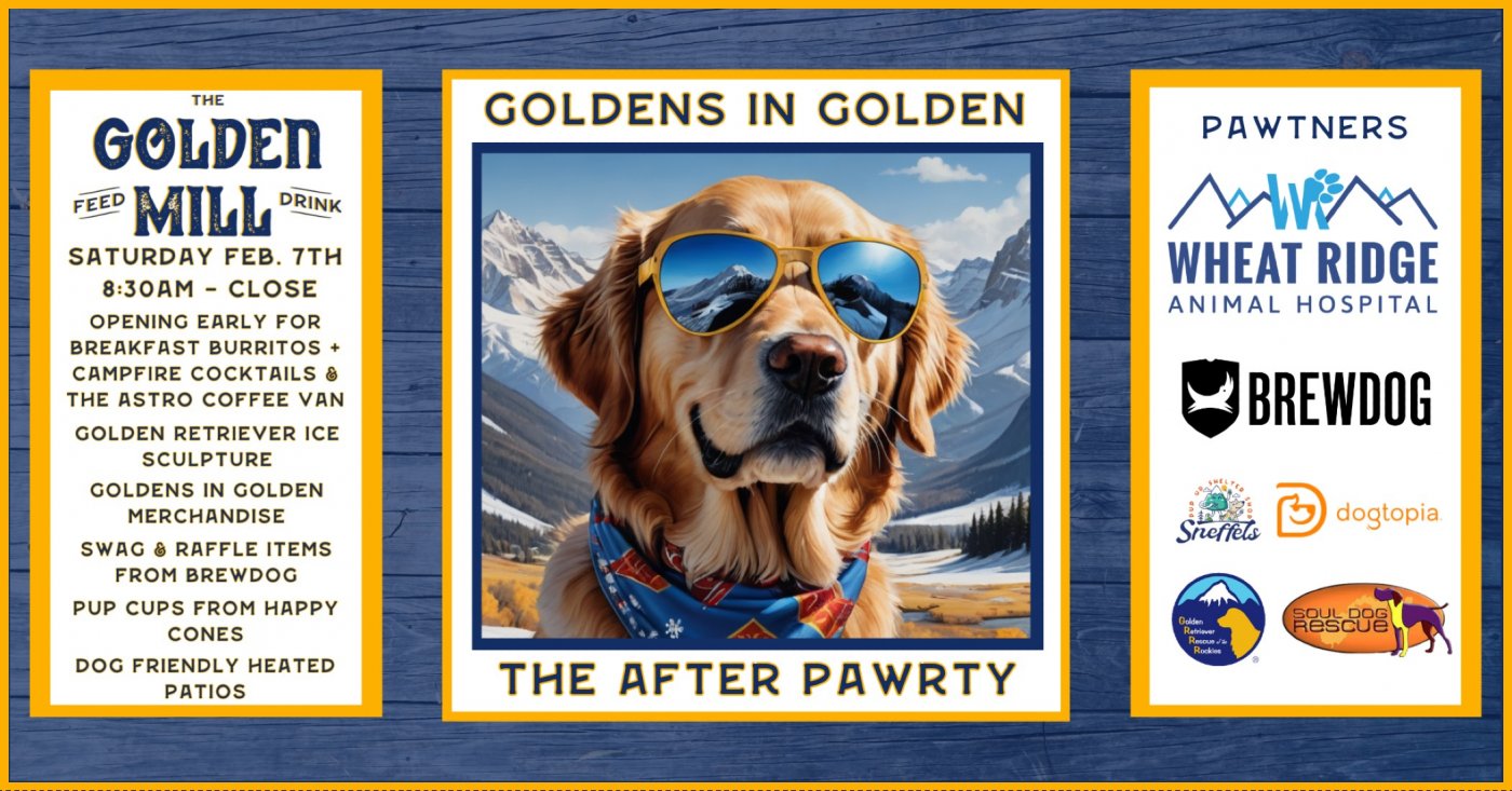 Goldens in Golden Weekend at The Golden Mill, The Golden Mill, 6 ...