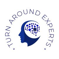 Turnaround Experts  logo