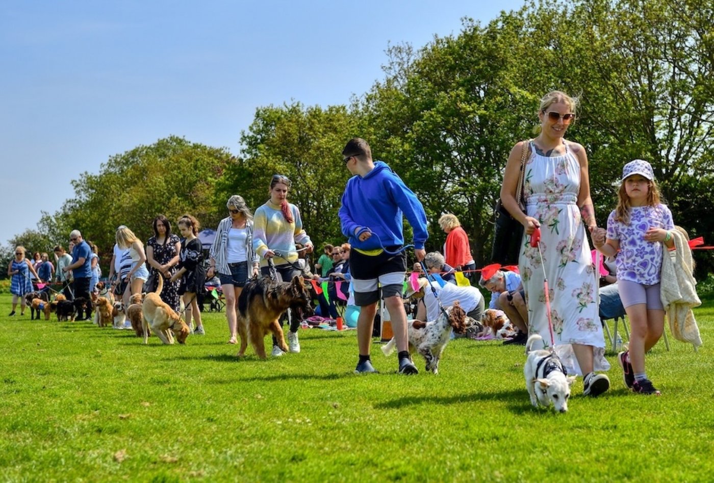 The Hunstanton Fun Dog Show, Glebe House School & Nursery, Hunstanton ...