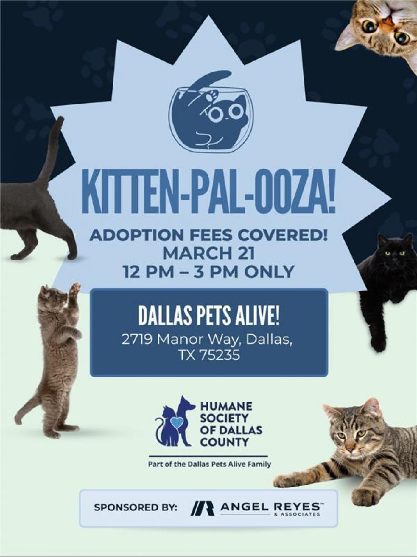 Dallas Pets Alive Partners with Angel Reyes &amp; Associates to Cover All Pet Adoption Fees