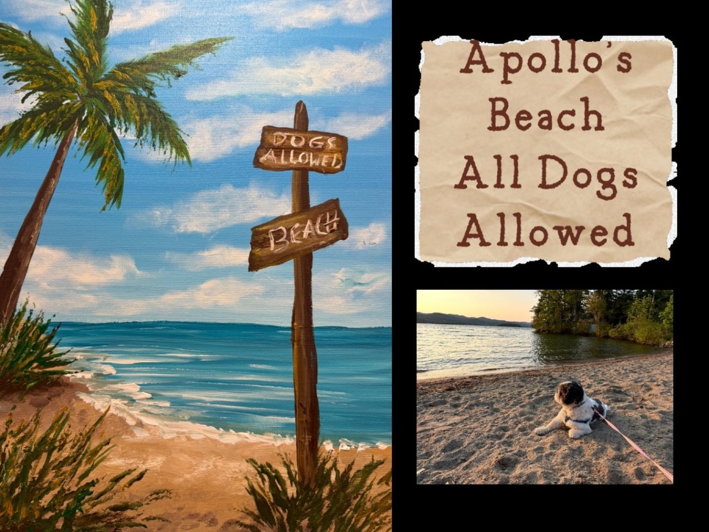 Back to the Basics Acrylic Painting One-Day Class: Apollo’s Beach – All Dogs Allowed