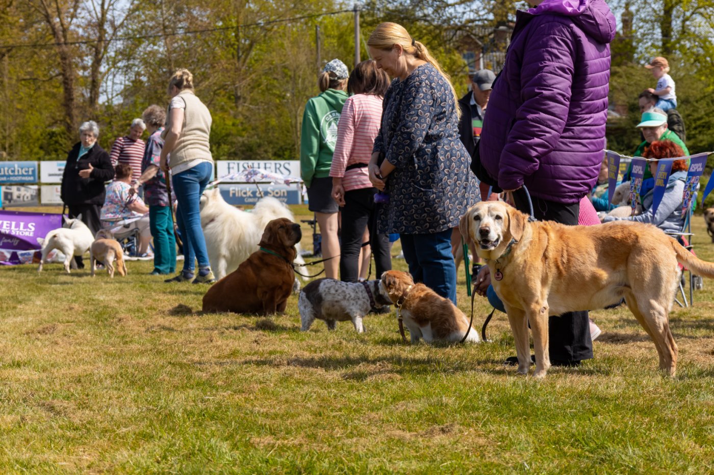 RSPCA fun dog show and Fete, Great Barton Village Hall, Bury St Edmunds ...
