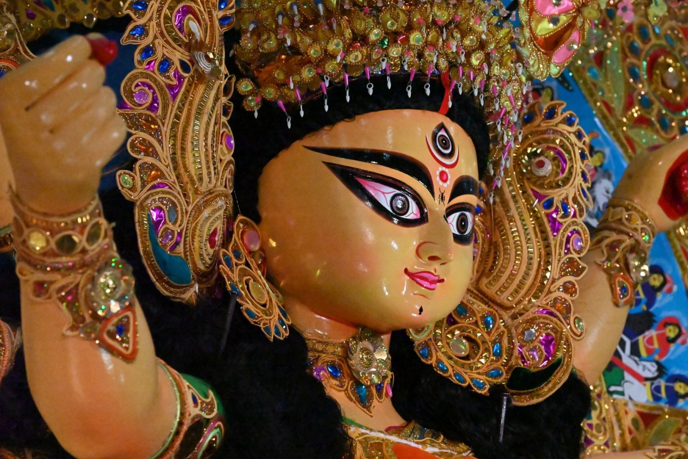 banner-image