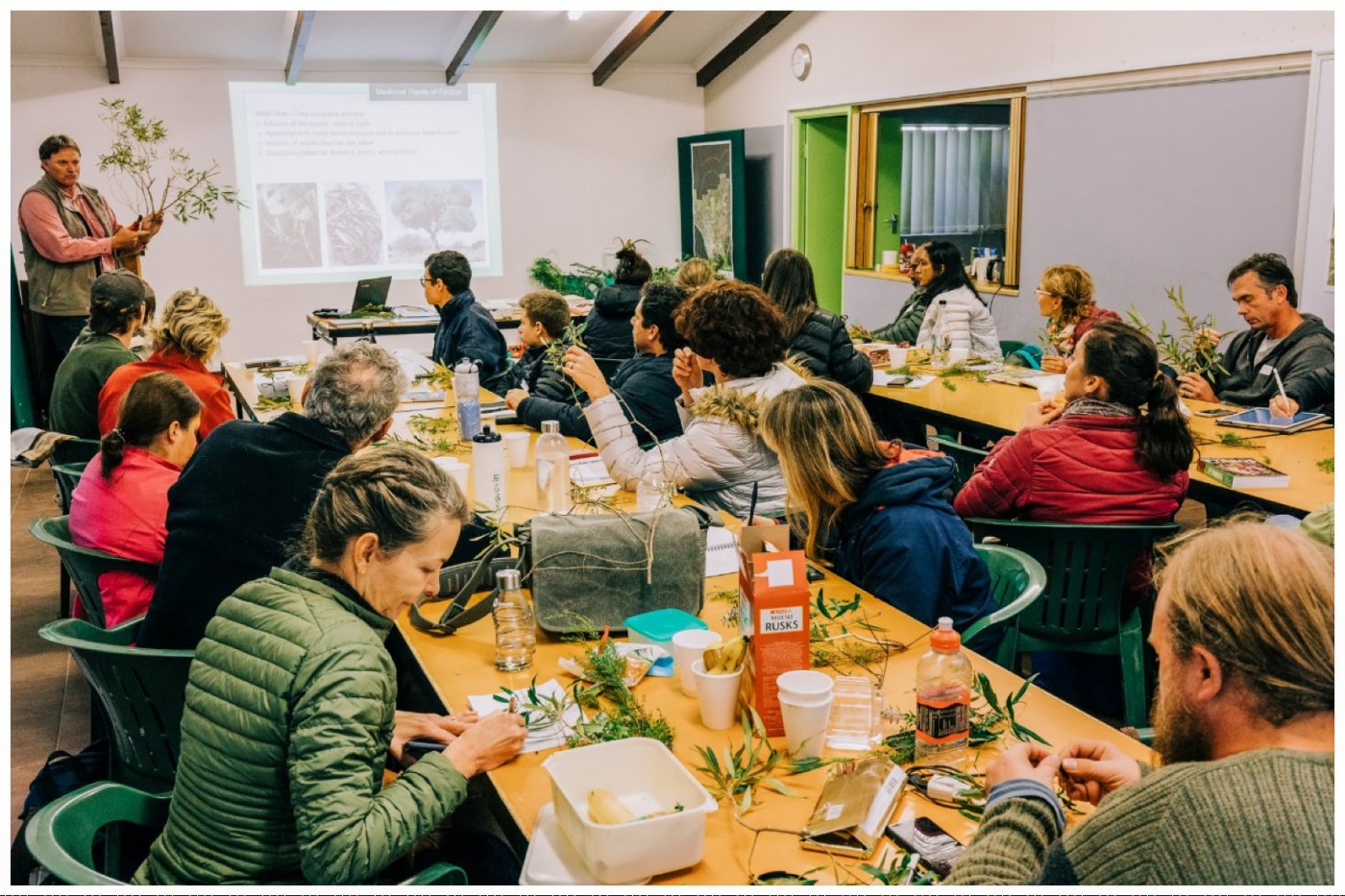 Fynbos Plant ID Workshop