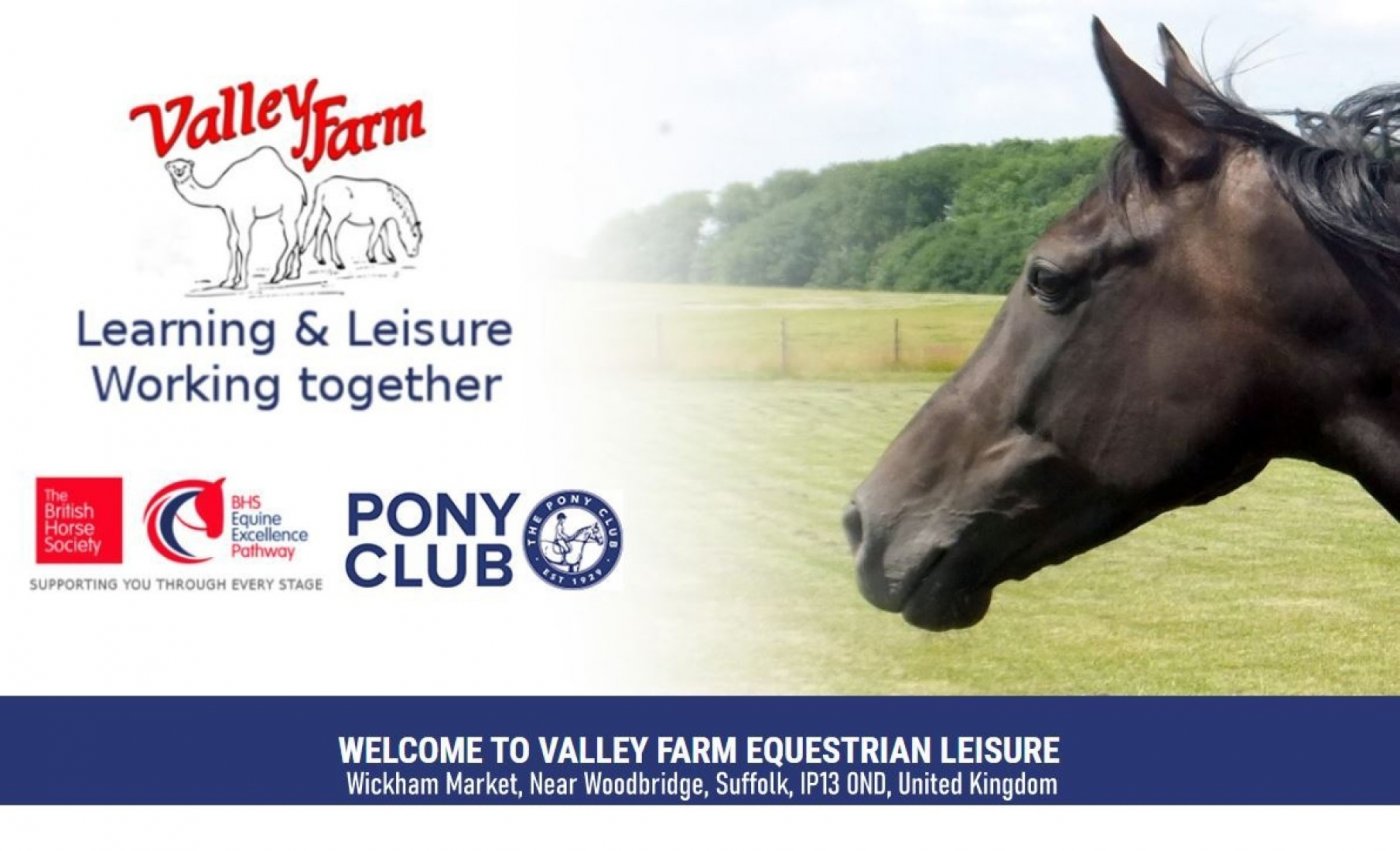5 day Summer Pony Camp